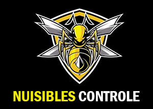 desinsectisation-nuisibles-controle